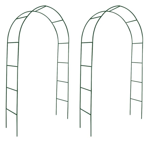 Garden Arch 2 pcs Climbing Plants