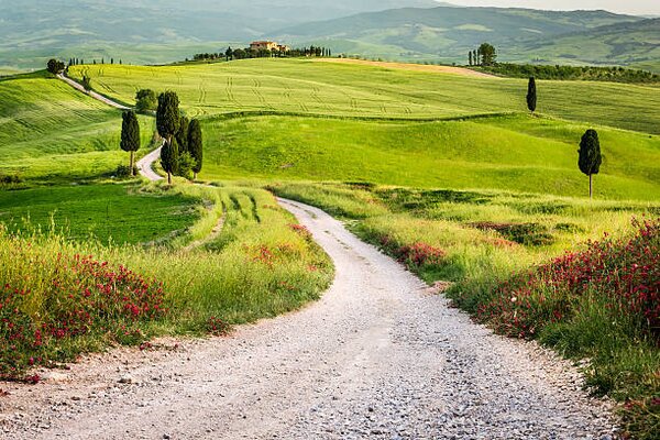 Photography Dirt road and green field in Tuscany, Shaiith