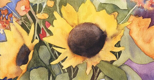 Photography Sunflowers in Watercolor, h2o_color