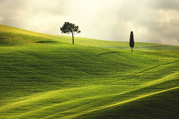 Photography Landscape in Tuscany, Peter Zelei Images