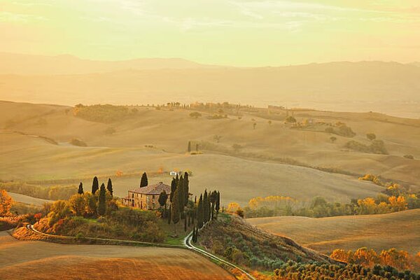 Photography Farm in Tuscany, mammuth