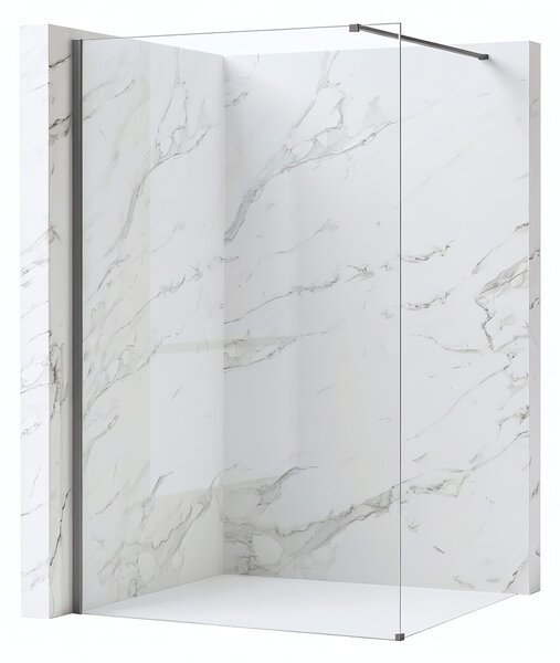 Shower screen Rea Flexi Transparent / Titan 120