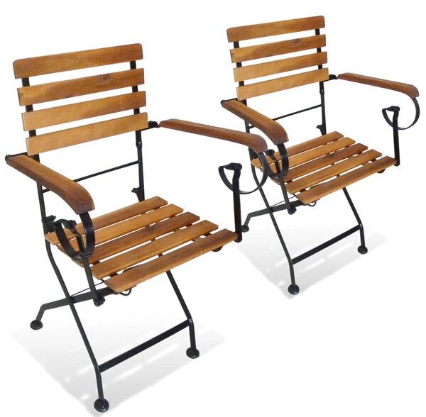 Folding Garden Chairs 2 pcs Steel and Solid Acacia Wood