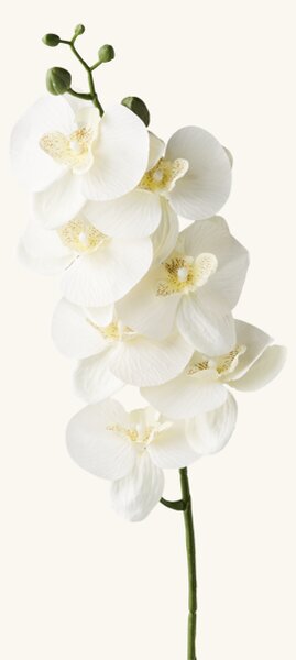 Artificial flower orchid - 74 cm. - White - Søstrene Grene