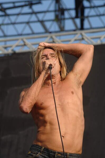 Photography Venice 06/20/2008 THE ROCK SINGER IGGY POP and THE STOOGES